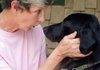 Judi Freeman makes silly faces at her dog Justice, who is a former rescue dog, at her Little Rock home. Justice was rescued from a man who was arrested for stealing dogs and selling them for medical testing.
