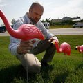 Al Glover of Springdale sets up pink flamingo lawn ornaments Tuesday in front of Brashears Furniture...