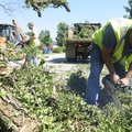 Jimmy Green with Bentonville’s Street Department saws a downed tree Wednesday blocking Jared Street....