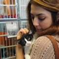 Iseulle Kim of Fayetteville looks at a cat Friday at the Fayetteville Animal Shelter. The shelter wa...