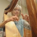  Brenda Bowen Cox plays her Celtic harp in the nursery of Mercy Medical Center on Thursday.