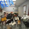  Megan Burlingame spends time with dogs during play time Thursday at Dog Party USA in Springdale.