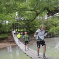 One of the sights to see near Catalpa is a swinging bridge that locals use to cross the Mulberry Riv...