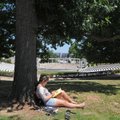  Madison Long studies Thursday at the University of Arkansas. “It’s so nice that it’s hard to study ...