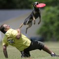 Christopher Steele of Houston and his blue heeler Indigo compete in the Pro Freestyle competition S...
