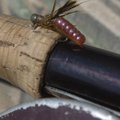 Hall uses a fly rod and a one-one hundred twenty-fifth ounce P.J.’s Finnese Jig tipped with a Berkle...