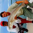 SUN10credfish38pxffBW