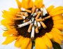 Right now smoking is prohibited in public places like Riverfront Park, Murray Park and the Little Rock Zoo, but police cannot arrest anyone for violating the policy. It’s unenforceable until it becomes a law.