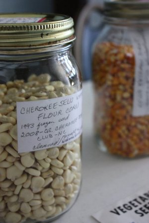 Seed saving was once the norm for farmers. Today, seed saving allows farmers and gardeners to propagate heirloom varieties that otherwise might be lost. 