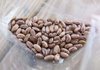 Experts recommend that new seed-savers start with beans or peas because the seeds from these plants dry on the vine and are easy to collect. 