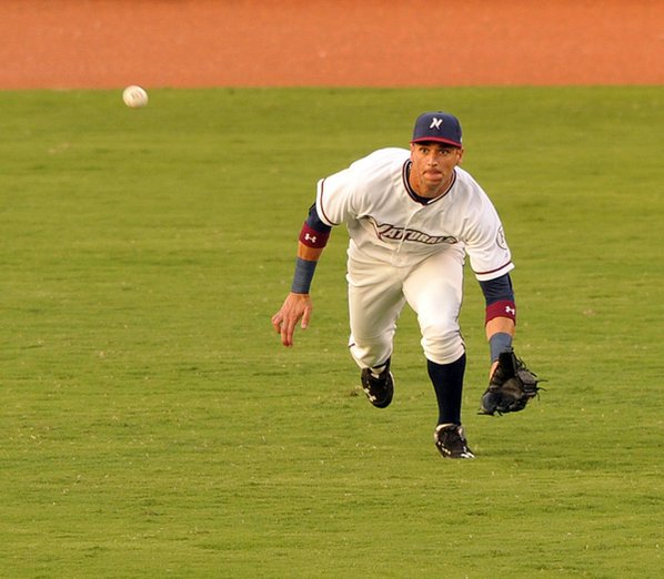 Arkansas Naturals Logo