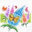 Butterfly Bush