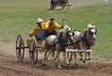 2011 Chuckwagon Races