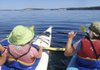 Donna Guzman, left, and Kristy Otte watch the fin of a surfacing orca whale in front of their kayaks during a paddling trip in the San Juan Islands off Washington State. The islands are north of Puget Sound in the Salish Sea of the Pacific Ocean, between Washington and British Columbia.