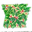 winterberry holly