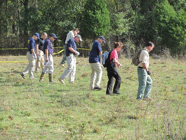 Searchers sweep through a section ...