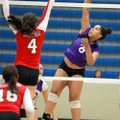 Fayetteville’s Mikayla Avery (8) hits the ball past Fort Smith Northside’s Kimmy Alexander (4) durin...