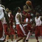 Hogs FOCUS 006