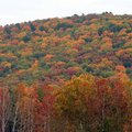 Loving the scenery? Check out our photo gallery