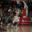 Razorbacks_wolverines_FOCUS_278