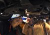 Dempsey Brown, instructor at Northwest Technical Institute, right, shows students, from left, Gary Sanchez and David Munson which bolts to unfasten to start removing an engine in the automotive lab Wednesday at the school in Springdale. Demand for skilled workers in many trade industries remains high following the recession.
