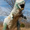 T. rex, buddy set for auction
