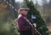 Arkansas Democrat-Gazette/RYAN MCGEENEY --12-09-11-- Morgan Howard of Clarksville picks out a "Charlie Brown" tree Saturday morning at Christmas Tree Lane in Etna, a small community south of Ozark. A tornado destroyed a significant percentage of the farm's trees earlier in 2011. "Charlie Brown" trees are trees the Lane family sells at a reduced price due to damage or homeliness.