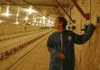Jeffrey A. Beaver, a partner in NextGen Illumination Inc., a light-emitting diode technology design firm, is shown dimming poultry house lights in a barn near Tontitown on Thursday. 