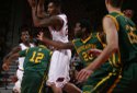 Hogs FOCUS 004