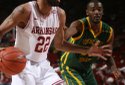 Hogs FOCUS 016