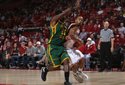 Hogs FOCUS 018