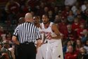 Hogs FOCUS 021