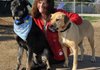 Jet, left, and his friend, Nikki, pose Thursday with Chaddie Platt at her business, Dog Party USA in Tontitown. Jet was found seven months after escaping from Fayetteville Animal Services staff while on an outing at the Fayetteville square. He recognized Nikki from his time with her at Wedington Animal Hospital after he was rescued from an animal hoarder, allowing him to be captured and placed into foster care at Dog Party USA.
