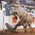 James Perry of Clarksville struggles to get free from Ellis Saturday, July 9, 2011, during the Bucki...