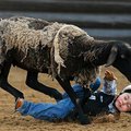STAFF PHOTO MARC F. HENNING
Shawn Goodnight, 4, of Springdale hits the dirt after getting thrown fr...
