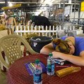 STAFF PHOTO J.S. WEDGEWORTH
Shyenne Fowler, 15, of Gravette, takes a nap Saturday, Aug. 20, 2011, m...