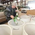 Pam Abshier empties glass bottles into barrels for recycling Tuesday while sorting recyclables from ...