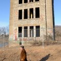 Gaye Bland, Rogers Historical Museum director, tours the area once occupied by Coin Harvey’s Oklahom...