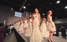 Arkansas Democrat-Gazette Bridal Show