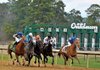 Junebugred (right) and jockey Joe Bravo lead the field down the stretch during the Smarty Jones Stakes on Monday at Oaklawn Park in Hot Springs. Junebugred edged Reckless Jerry (left) in a photo finish, while 3-2 favorite On Fire Baby (second from left) was third. 