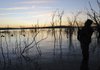 Sunrise is near and hunters at Beaver Lake stand ready to intercept squadrons of ducks they hope will teeter on cupped wings toward their decoys.