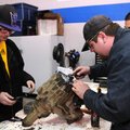 David Munson, left, and Jason Dickard work to replace the front seal on an automobile transfer case ...