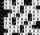 Thumbnail Loading