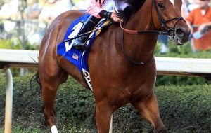 Comedero, who won the Nodouble Breeders’ Stakes for Arkansas breds at Oaklawn Park last April under jockey Robby Albarado, is back at Oaklawn to make his 5-year-old debut. 