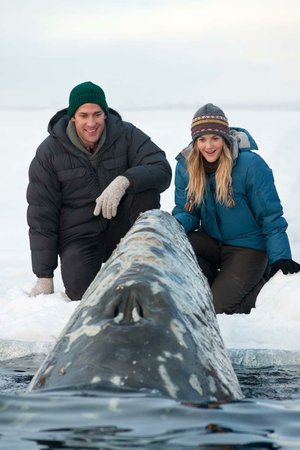 Adam (John Krasinski) and Rachel (Drew Barrymore) marvel at nature’s majesty in the ecocentric romantic comedy Big Miracle. 