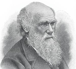Charles Darwin would turn 203 years old this weekend. The first Arkansas Darwin Day event begins Friday to celebrate his birthday.