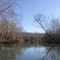 The White River above Lake Sequoyah is a haven for wildlife watching as well as fishing. It’s a sere...