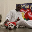 dogs prison248