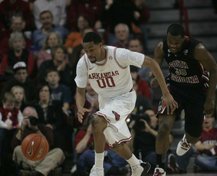 Hogs FOCUS 025