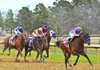 Jockey Rafael Bejarano (11) and Castaway raced to a 3 3/4-length victory in the first division of the 47th running of the Southwest Stakes on Monday at Oaklawn Park in Hot Springs. Jake Mo (left) finished second, followed by Reckless Jerry (3) in third. Majestic Stride (center) was fifth. 